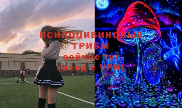 бутират Саяногорск