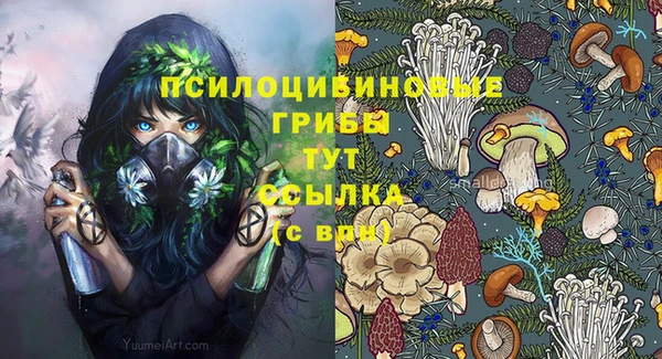 бутират Саяногорск