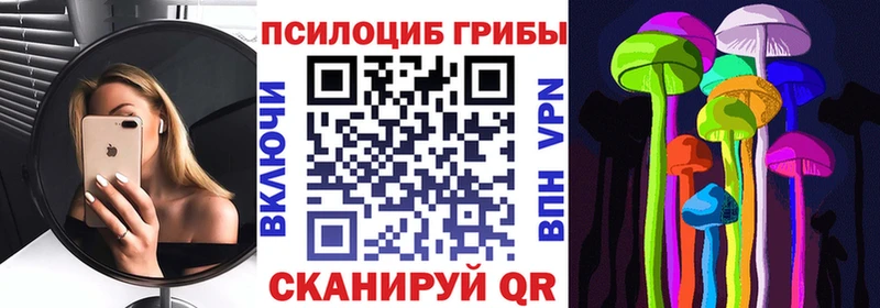 Псилоцибиновые грибы Cubensis  Сибай 