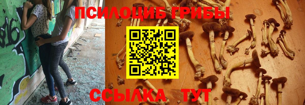 Псилоцибиновые грибы ЛСД  Галлюциногенные грибы прущие грибы  Сибай  Вход с VPN 